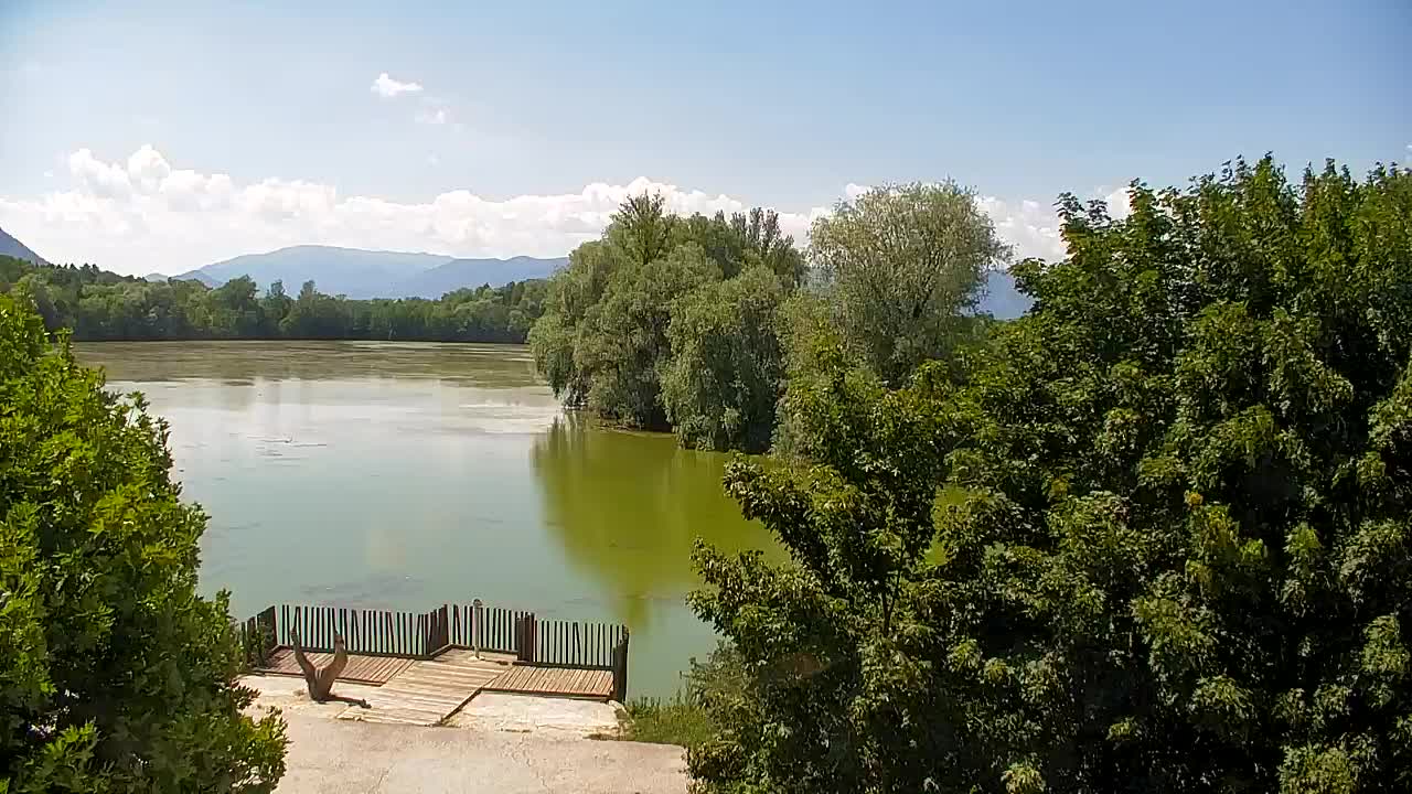 Webcam Ribnik Vrbje – Žalec