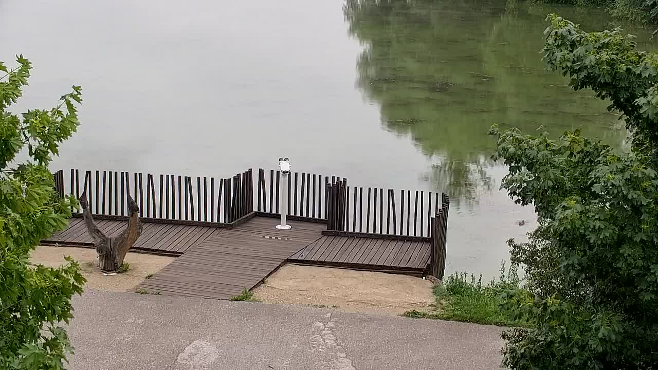 Webcam Ribnik Vrbje – Žalec