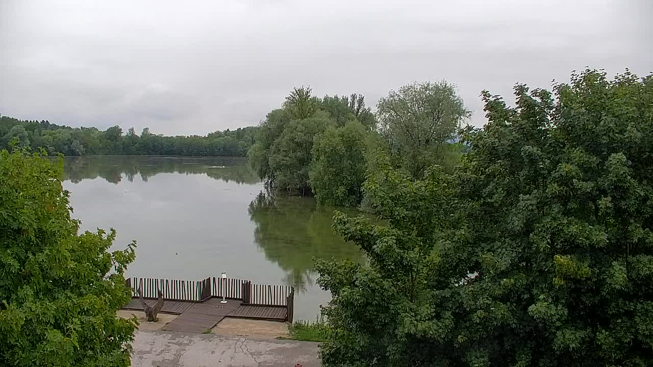 Webcam Ribnik Vrbje – Žalec
