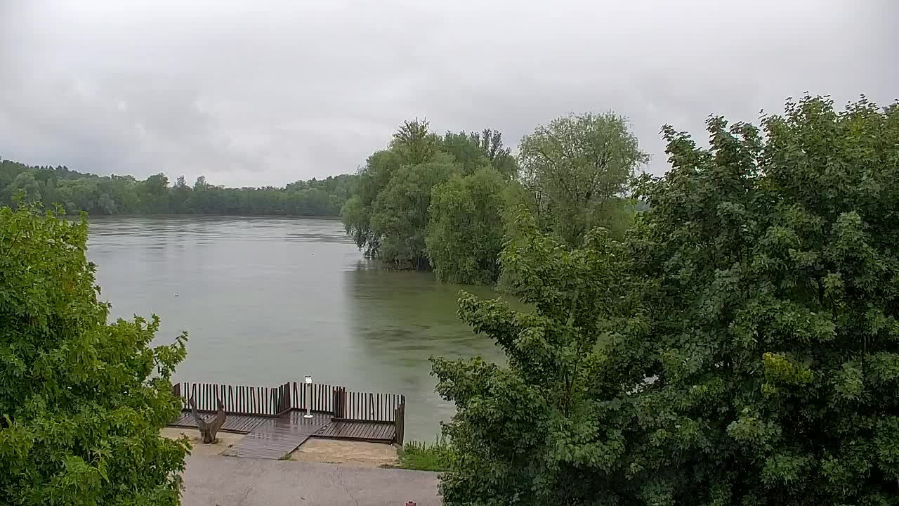 Webcam Ribnik Vrbje – Žalec