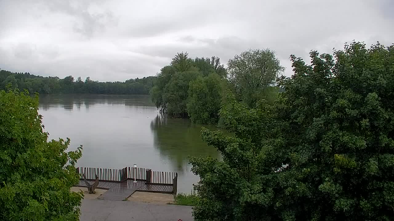 Webcam Ribnik Vrbje – Žalec