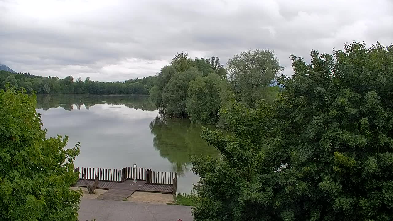 Webcam Ribnik Vrbje – Žalec