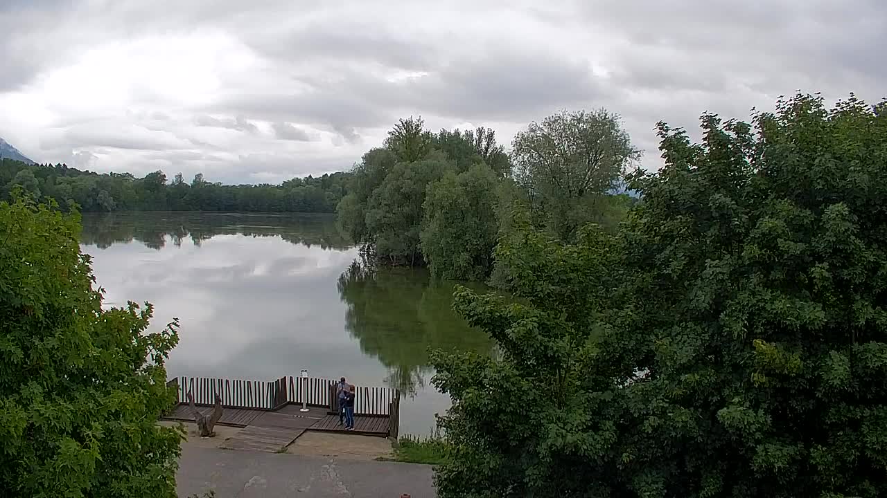 Webcam Ribnik Vrbje – Žalec