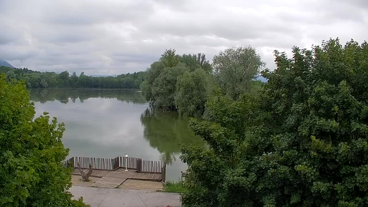 Webcam Ribnik Vrbje – Žalec