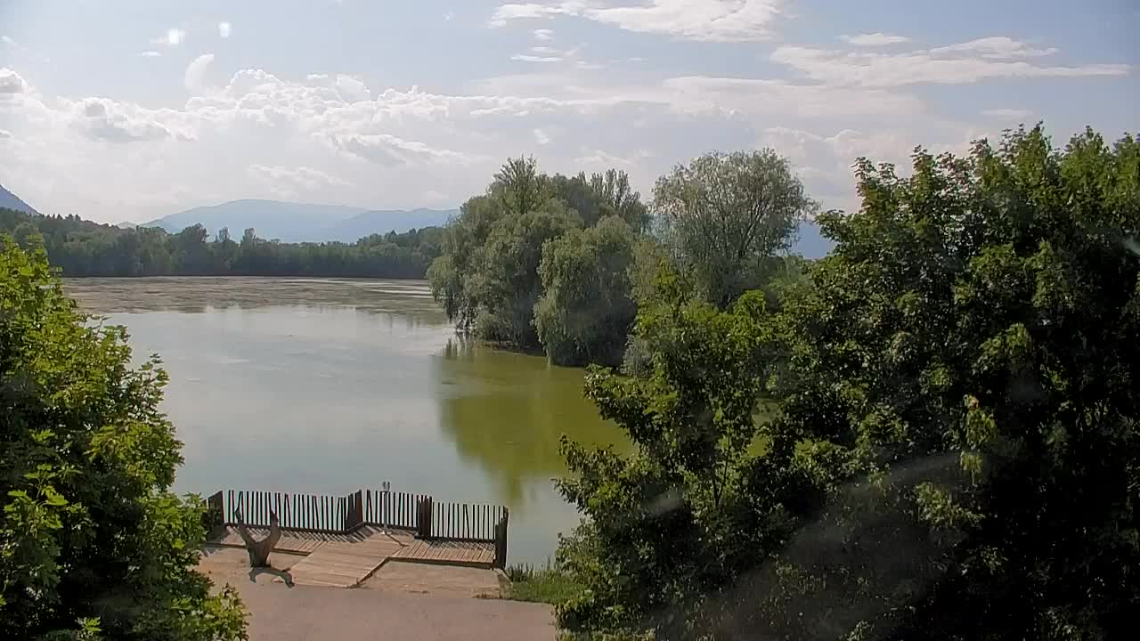 Webcam Ribnik Vrbje – Žalec