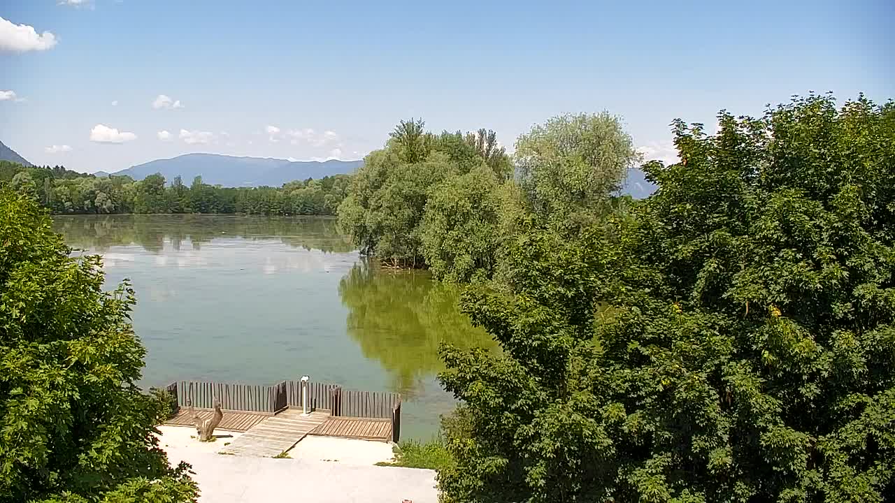 Webcam Ribnik Vrbje – Žalec
