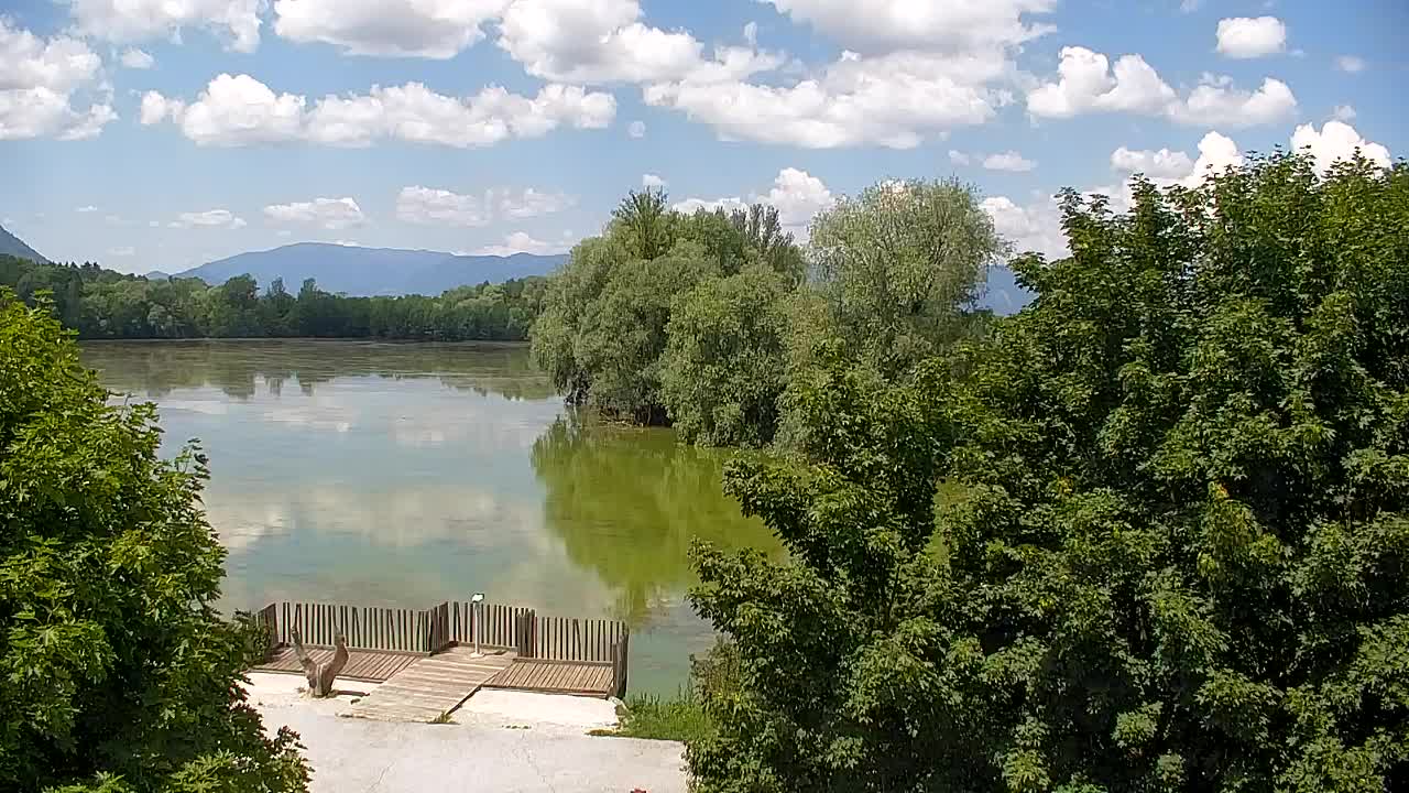 Webcam Ribnik Vrbje – Žalec