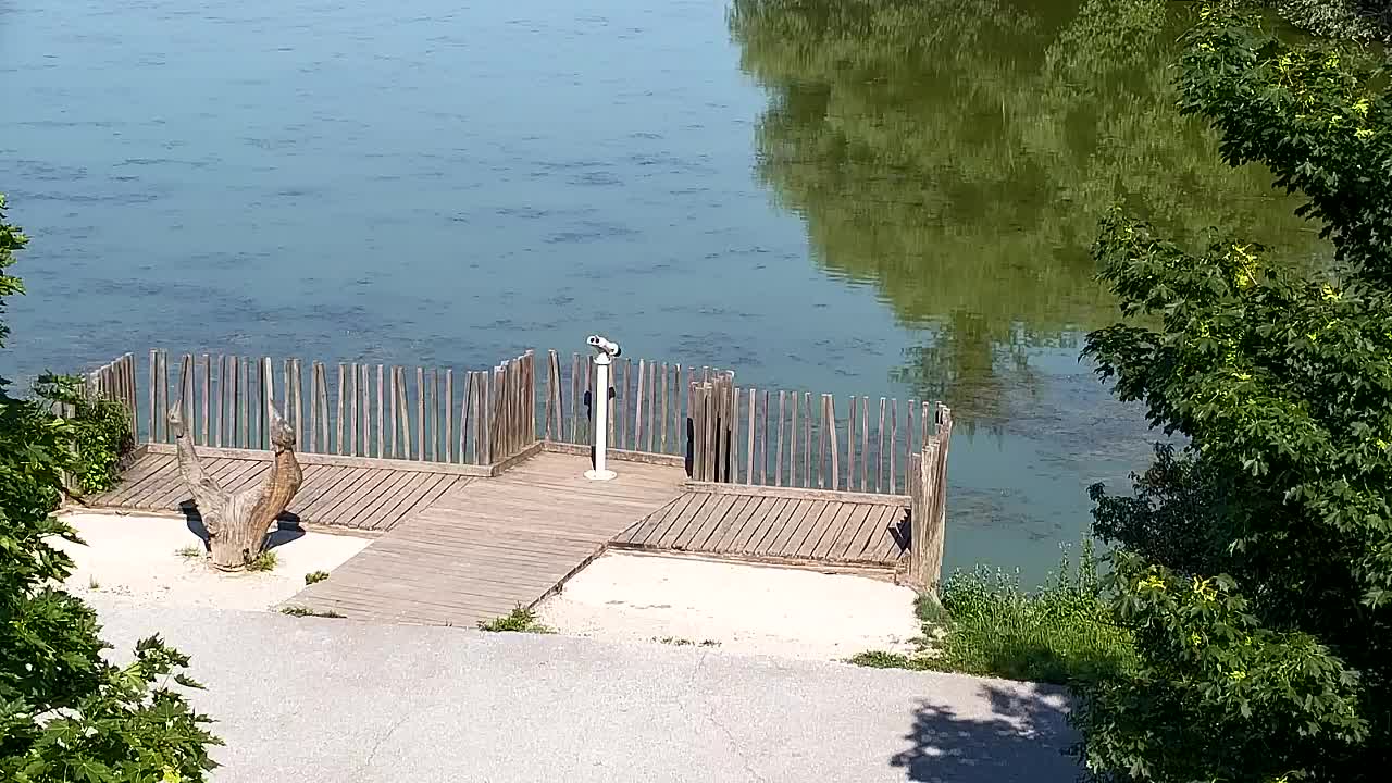 Webcam Ribnik Vrbje – Žalec