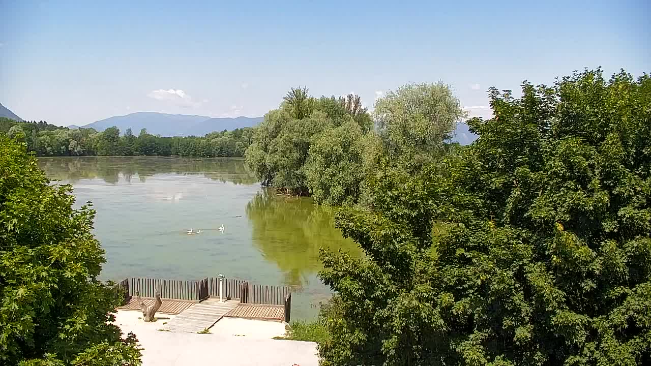 Webcam Ribnik Vrbje – Žalec
