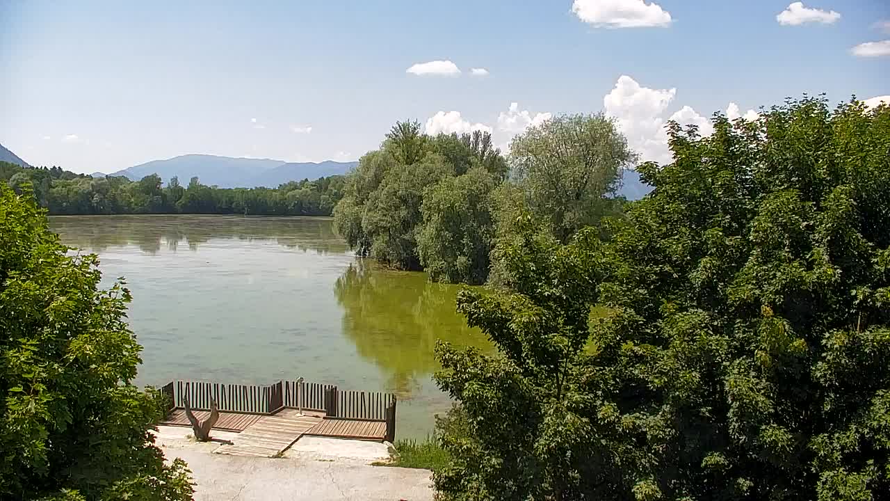 Spletna kamera Ribnik Vrbje – Žalec