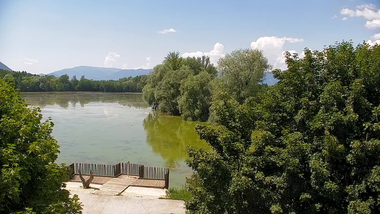 Web kamera Ribnik Vrbje – Žalec