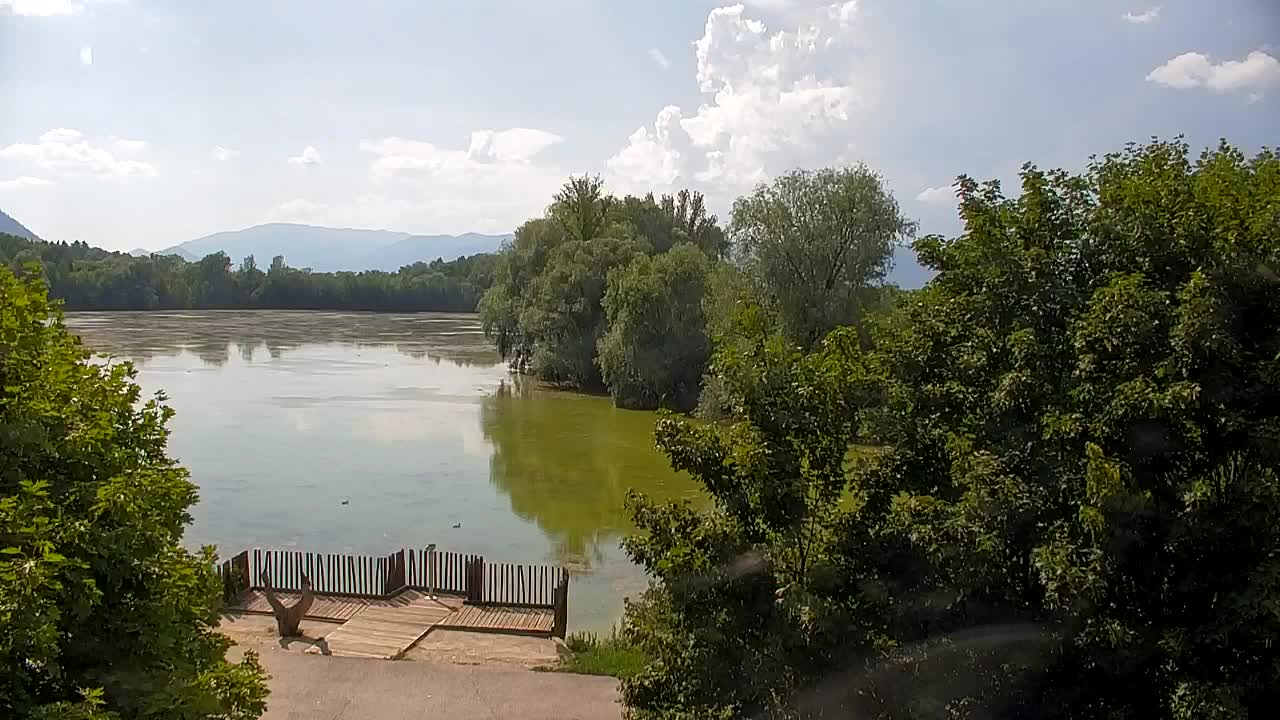 Web kamera Ribnik Vrbje – Žalec