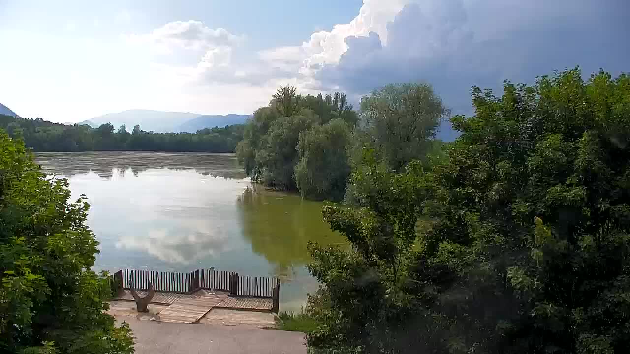 Web kamera Ribnik Vrbje – Žalec