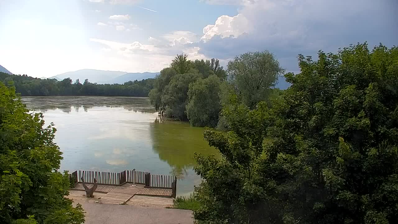 Webcam Ribnik Vrbje – Žalec