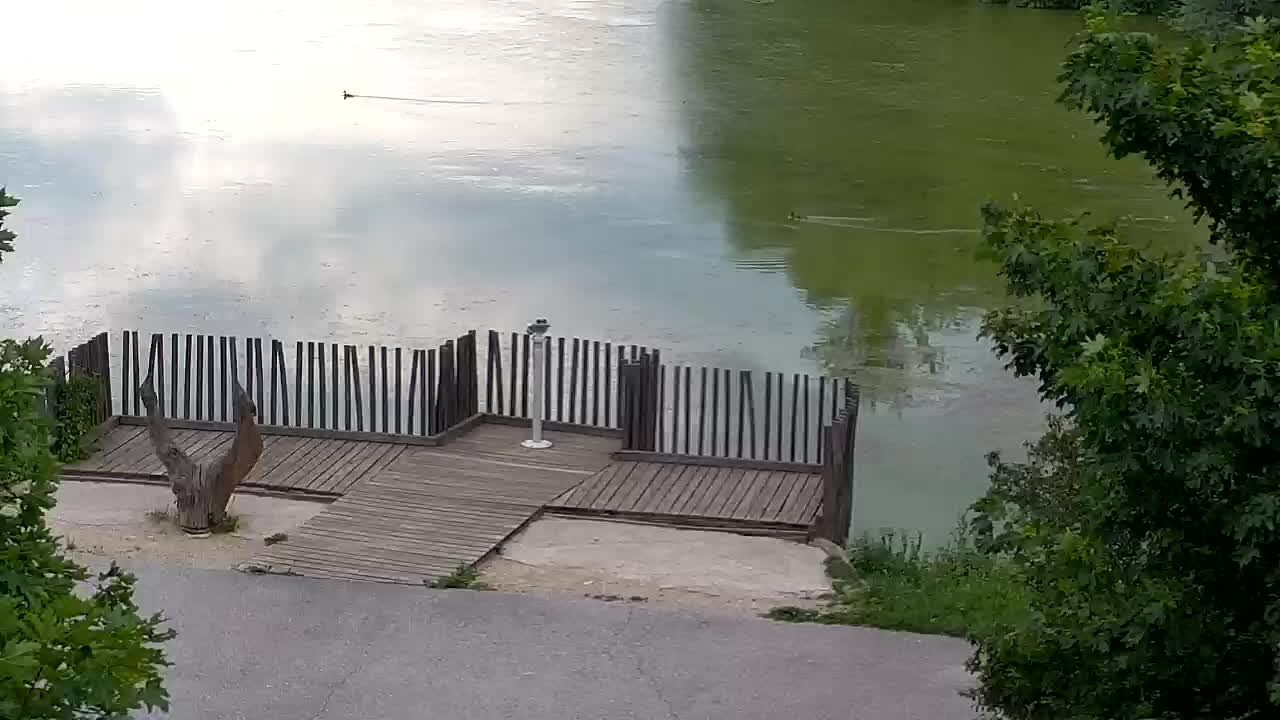 Webcam Ribnik Vrbje – Žalec