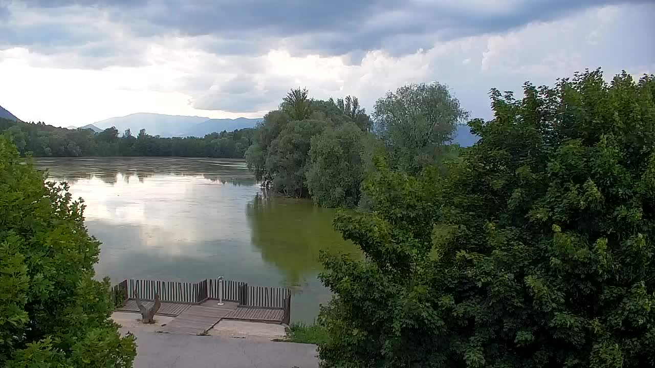 Webcam Ribnik Vrbje – Žalec