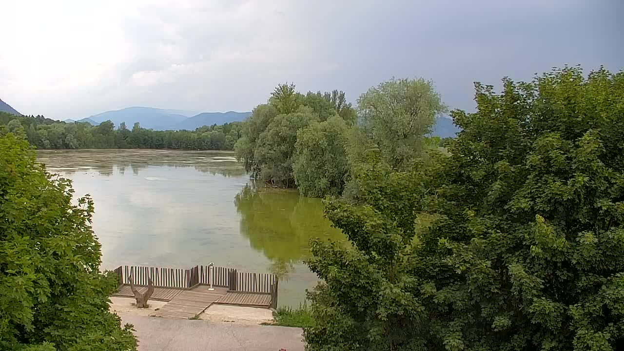 Webcam Ribnik Vrbje – Žalec