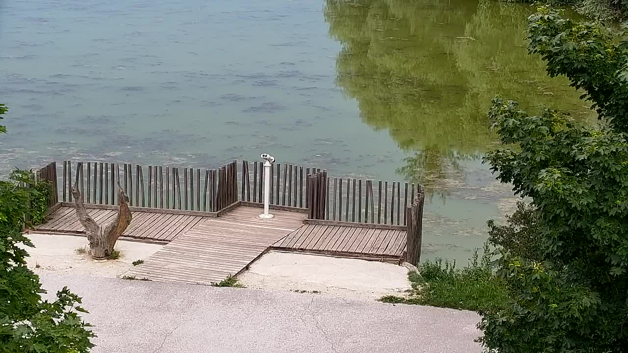 Webcam Ribnik Vrbje – Žalec
