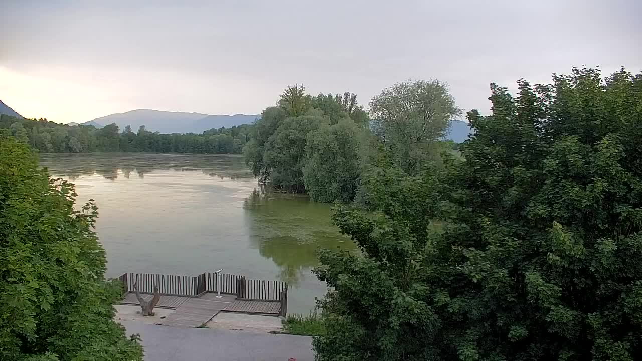 Spletna kamera Ribnik Vrbje – Žalec