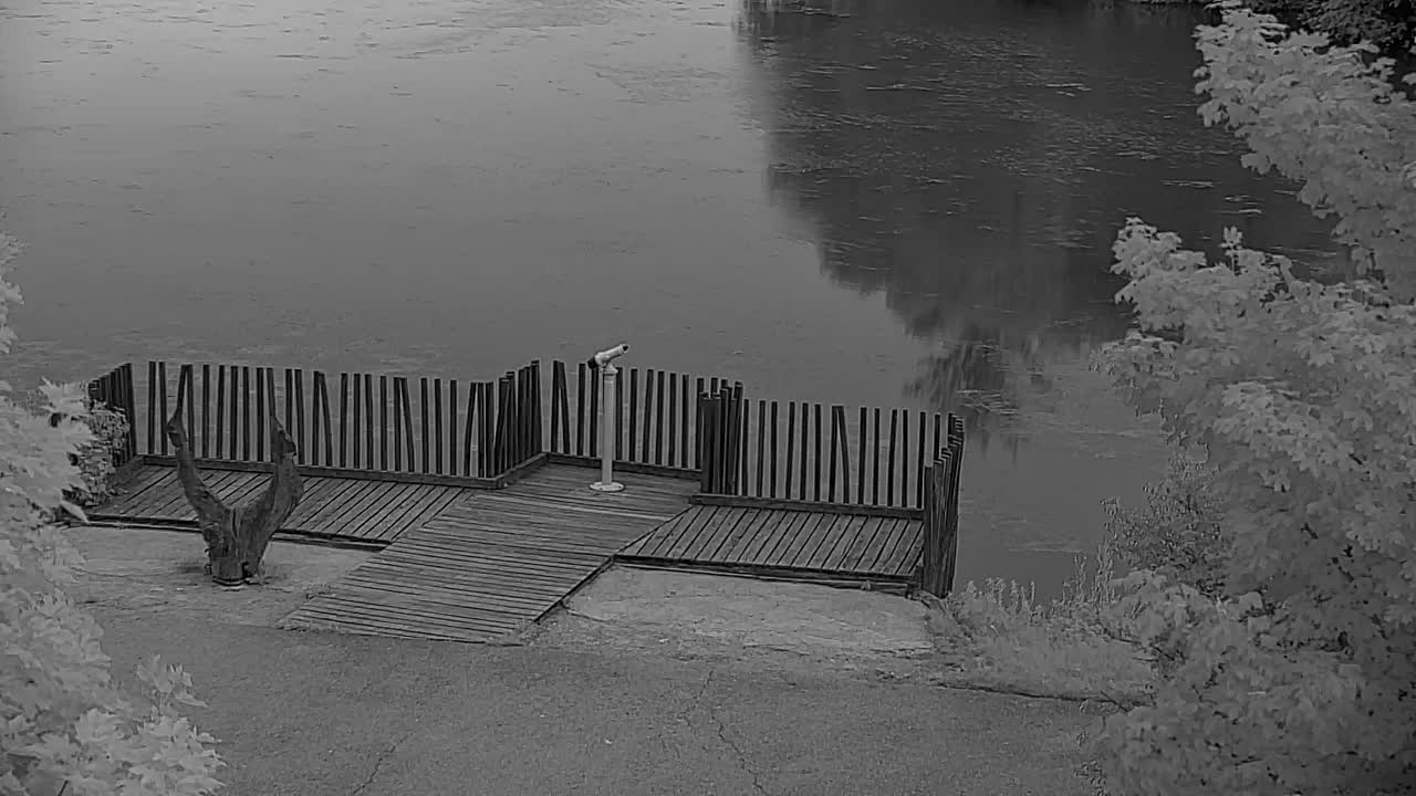 Webcam Ribnik Vrbje – Žalec