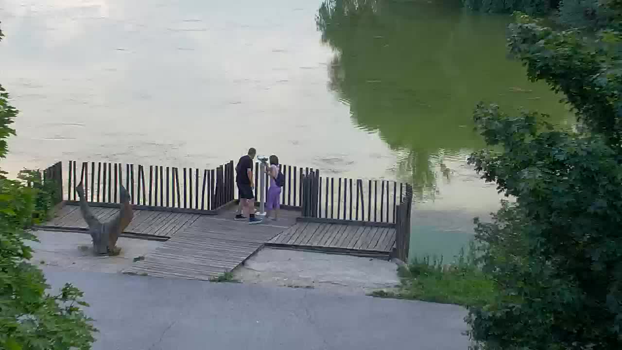 Webcam Ribnik Vrbje – Žalec