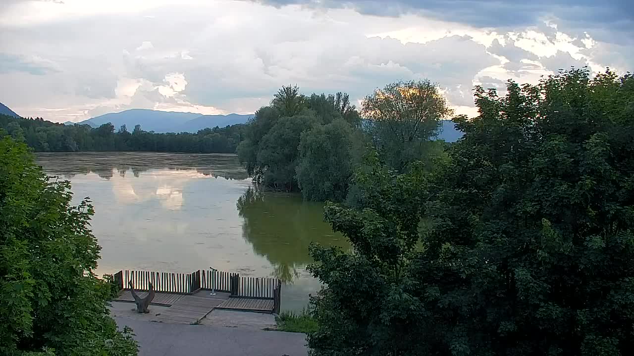 Webcam Ribnik Vrbje – Žalec
