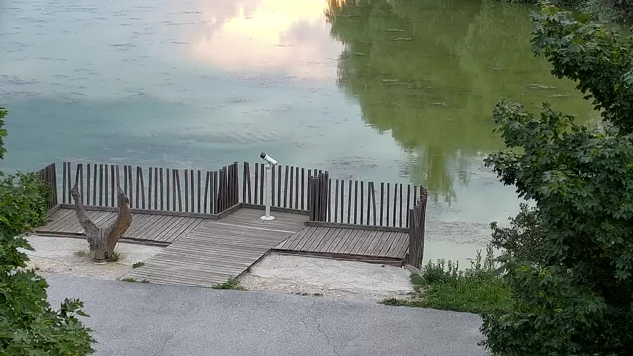 Webcam Ribnik Vrbje – Žalec