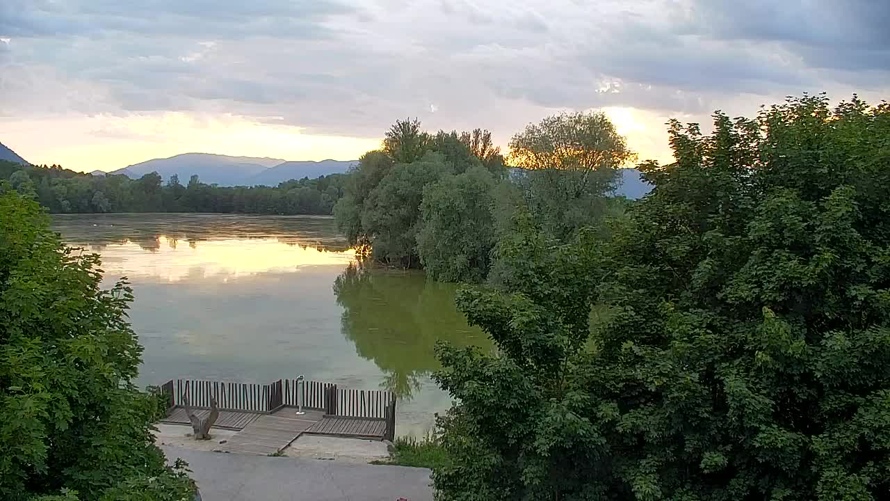 Spletna kamera Ribnik Vrbje – Žalec