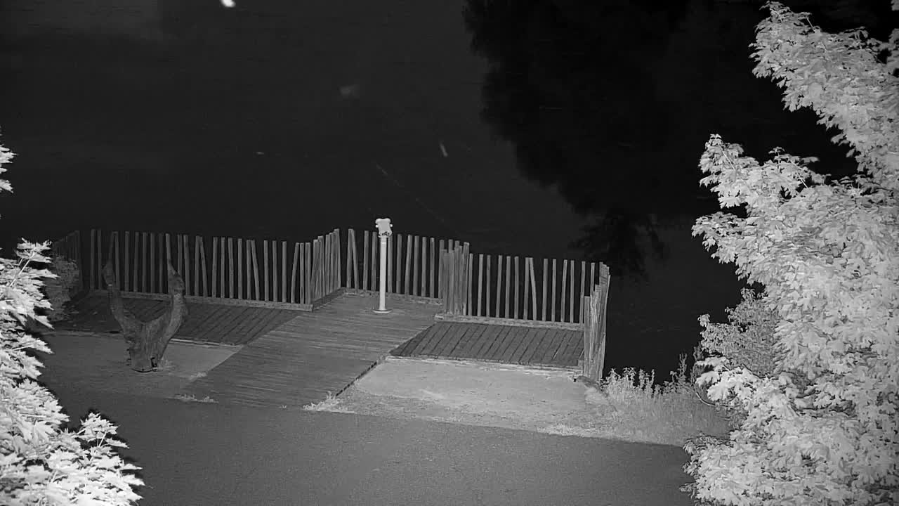 Webcam Ribnik Vrbje – Žalec
