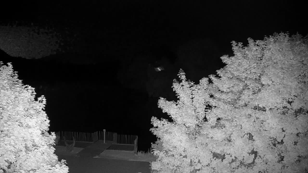 Webcam Ribnik Vrbje – Žalec