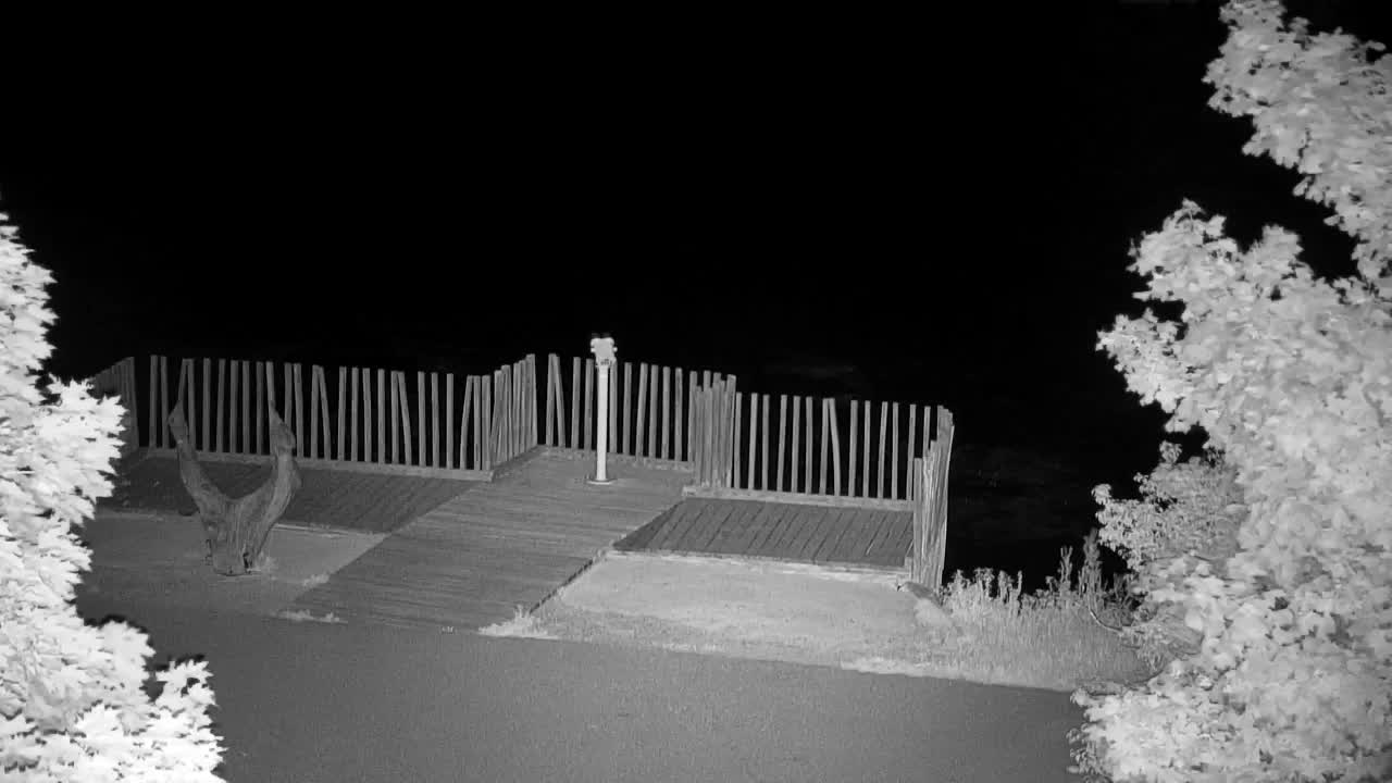Webcam Ribnik Vrbje – Žalec