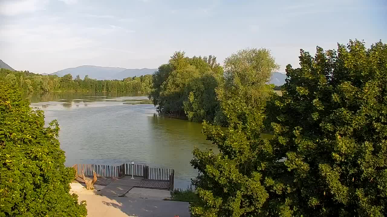 Web kamera Ribnik Vrbje – Žalec