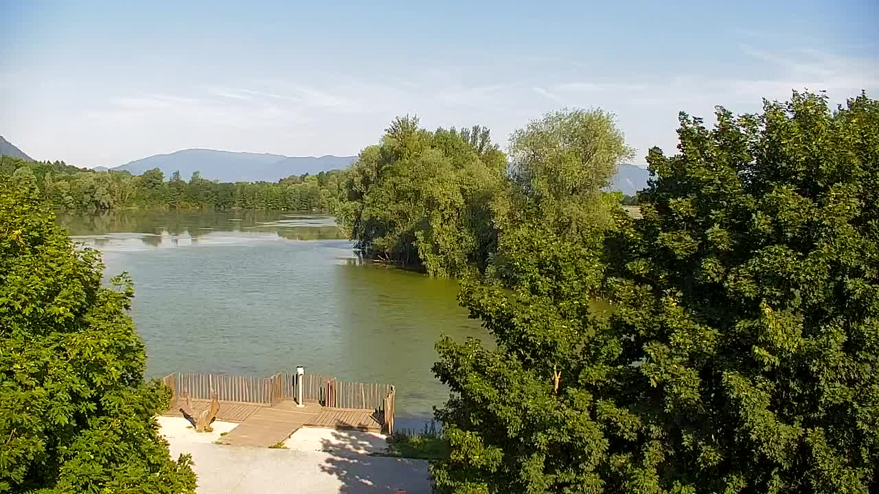 Webcam Ribnik Vrbje – Žalec