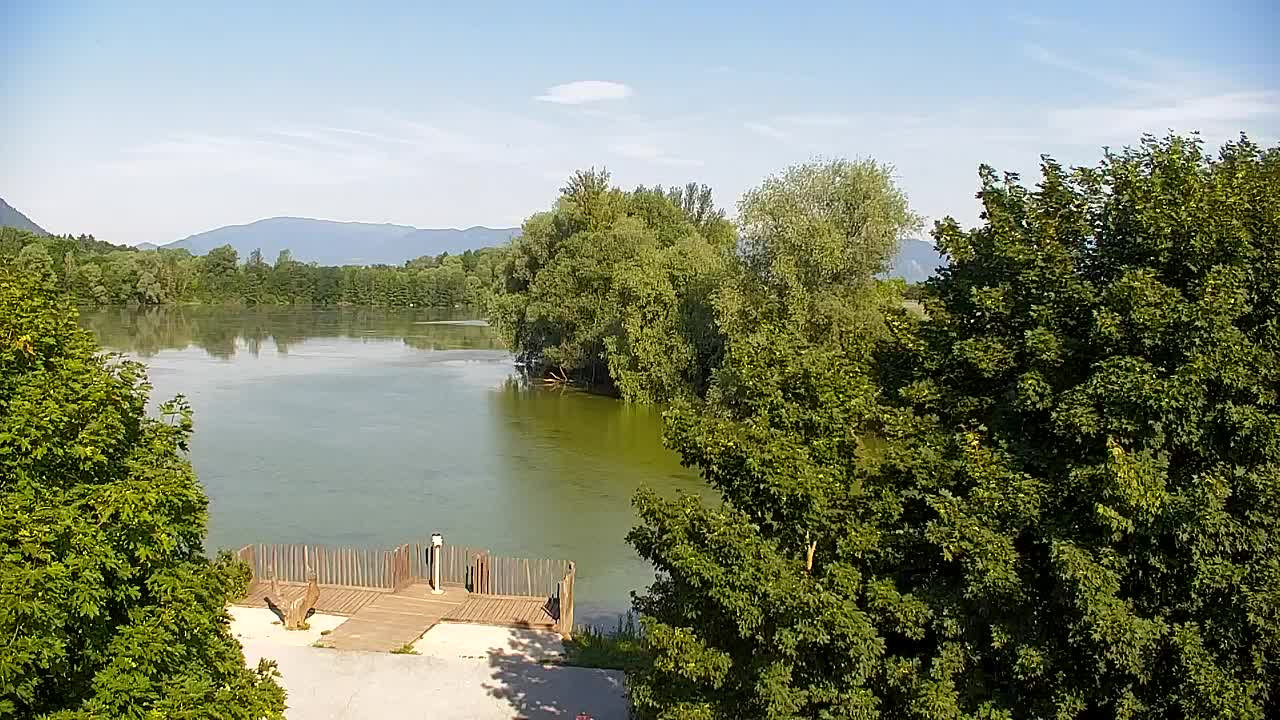 Spletna kamera Ribnik Vrbje – Žalec