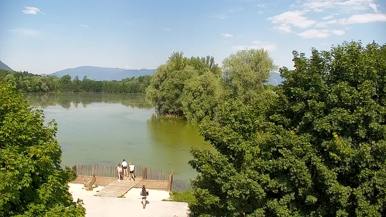 Spletna kamera Ribnik Vrbje – Žalec
