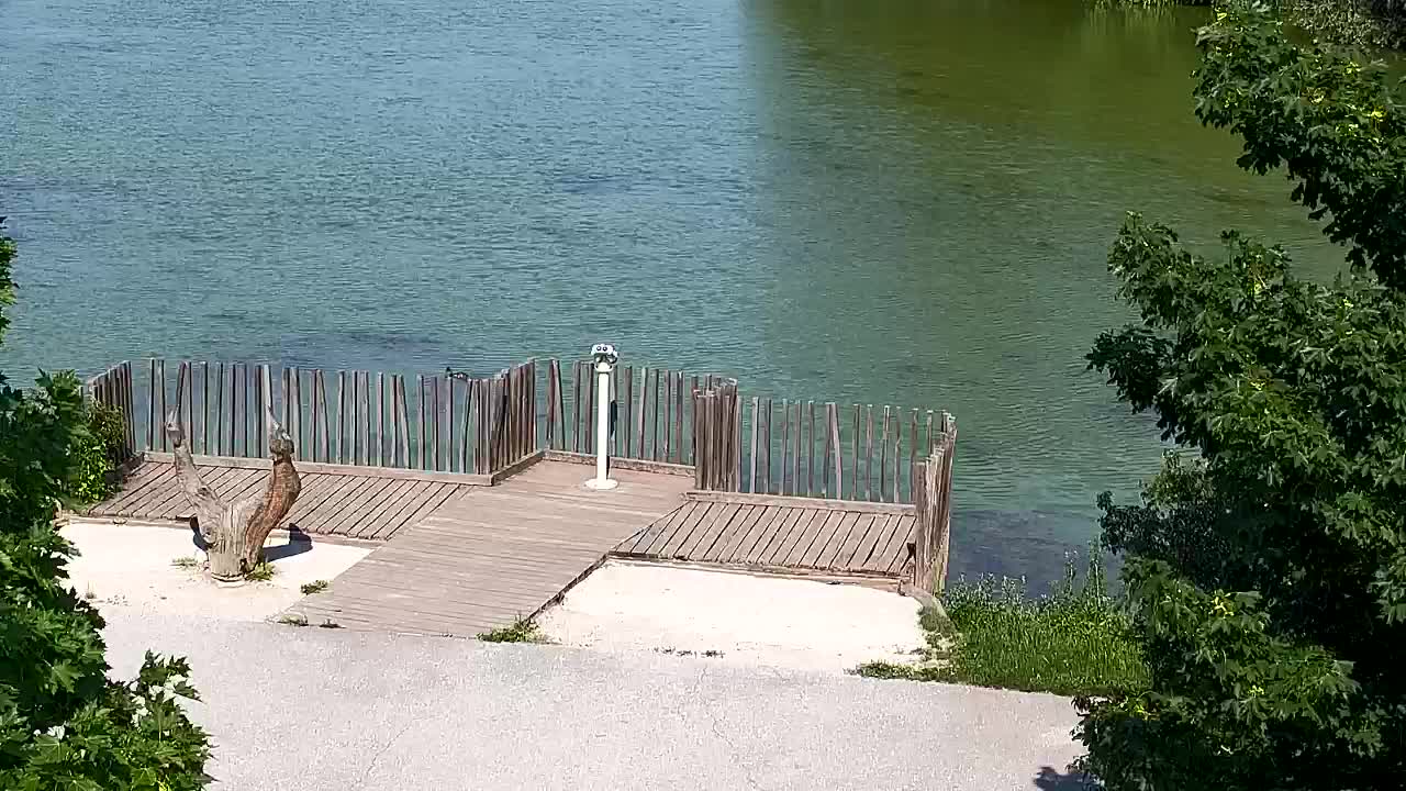 Spletna kamera Ribnik Vrbje – Žalec