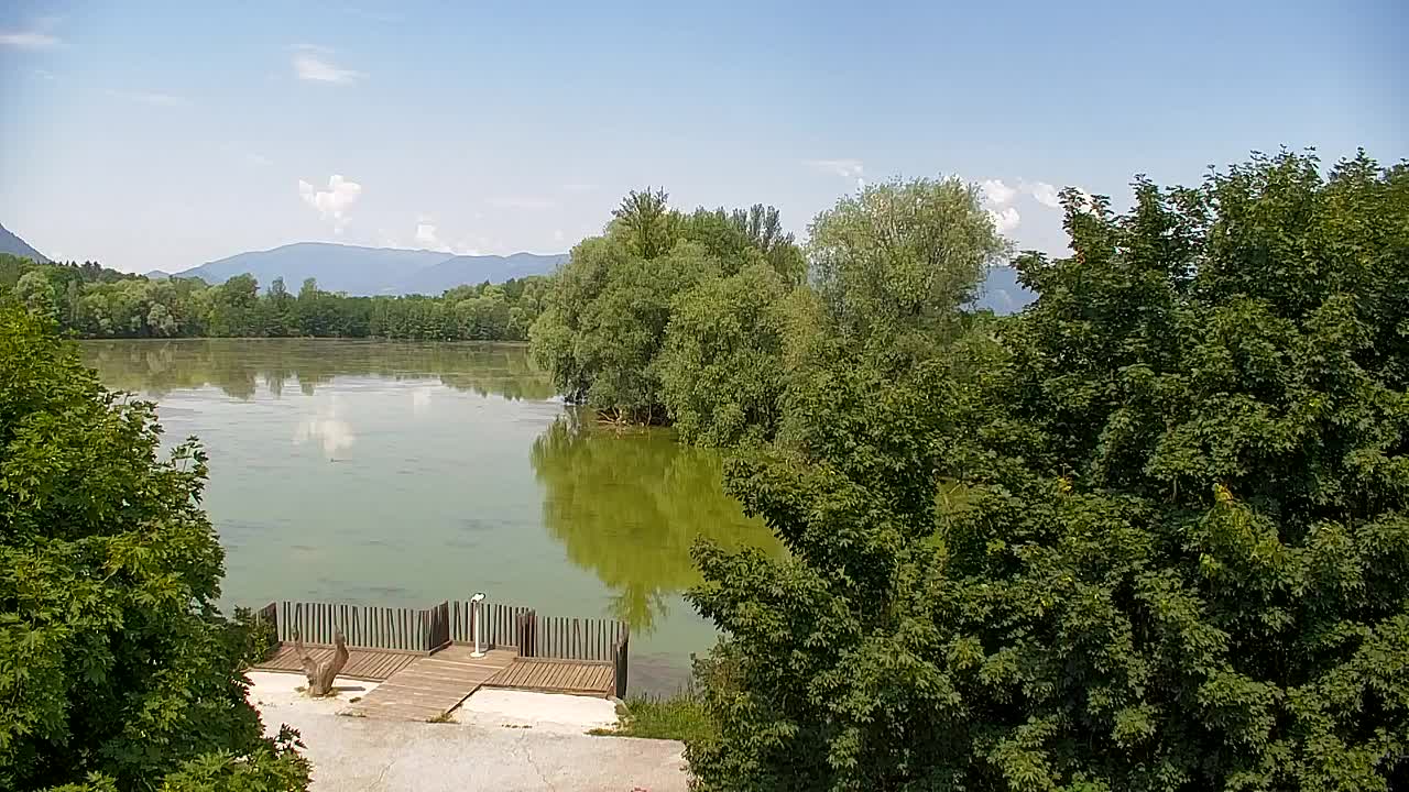 Spletna kamera Ribnik Vrbje – Žalec