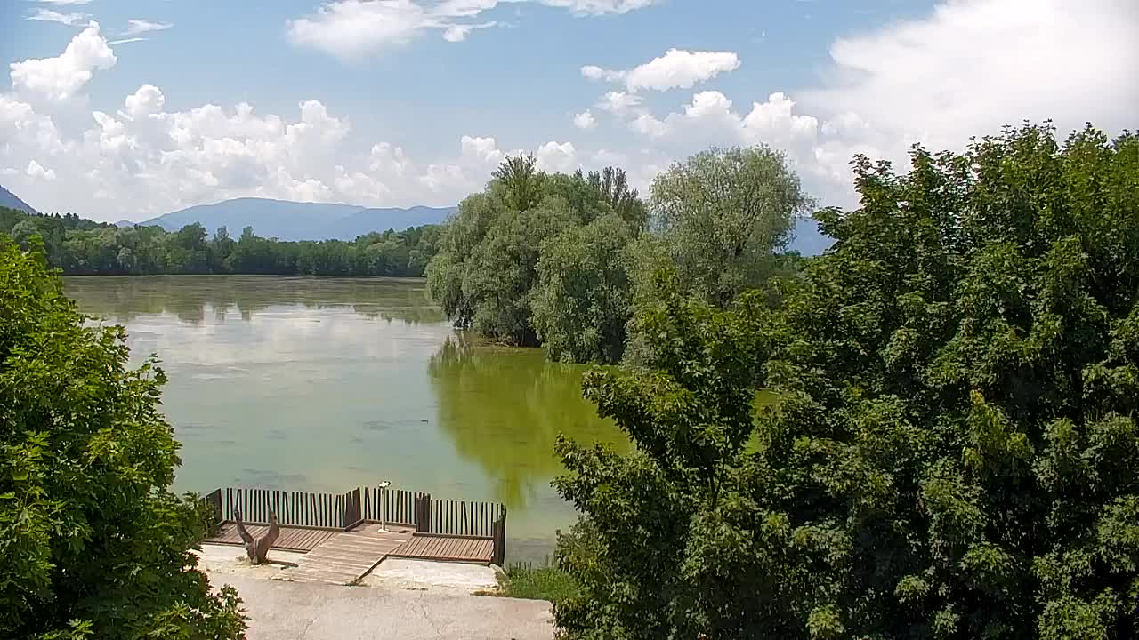 Webcam Ribnik Vrbje – Žalec