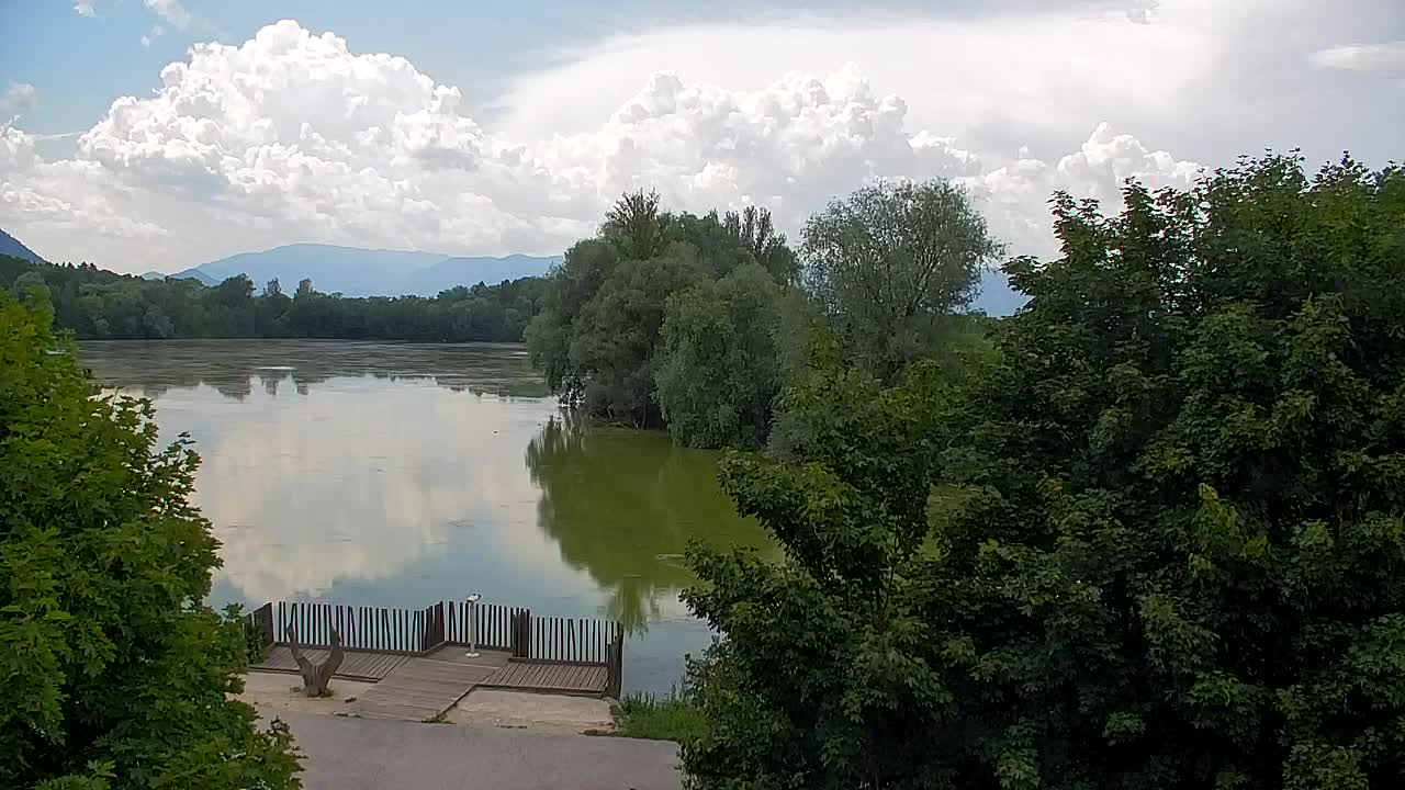 Webcam Ribnik Vrbje – Žalec