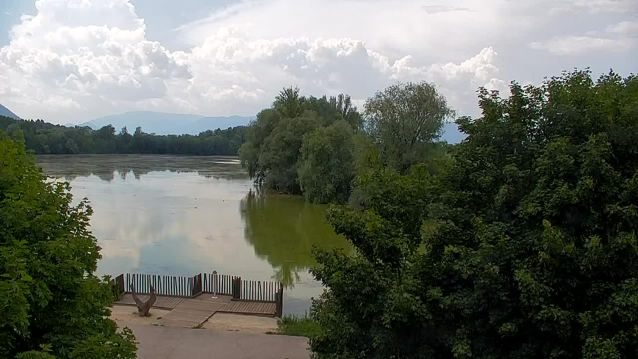 Webcam Ribnik Vrbje – Žalec