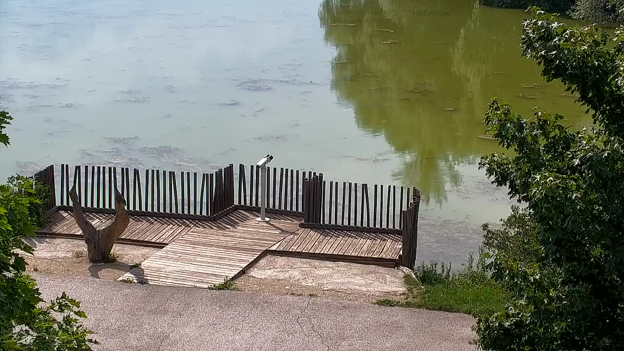 Webcam Ribnik Vrbje – Žalec