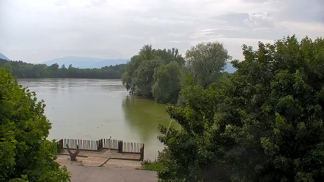 Web kamera Ribnik Vrbje – Žalec