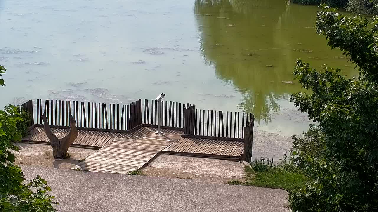 Webcam Ribnik Vrbje – Žalec