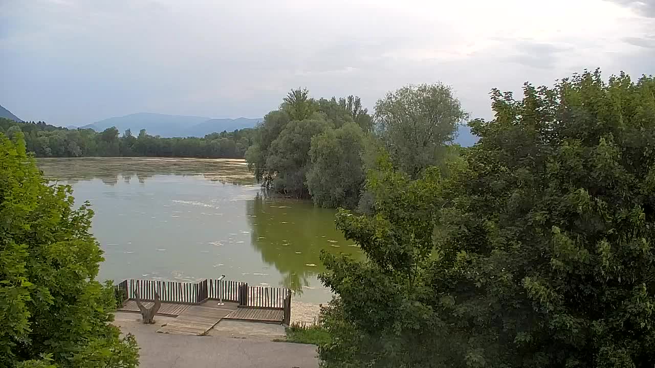 Webcam Ribnik Vrbje – Žalec