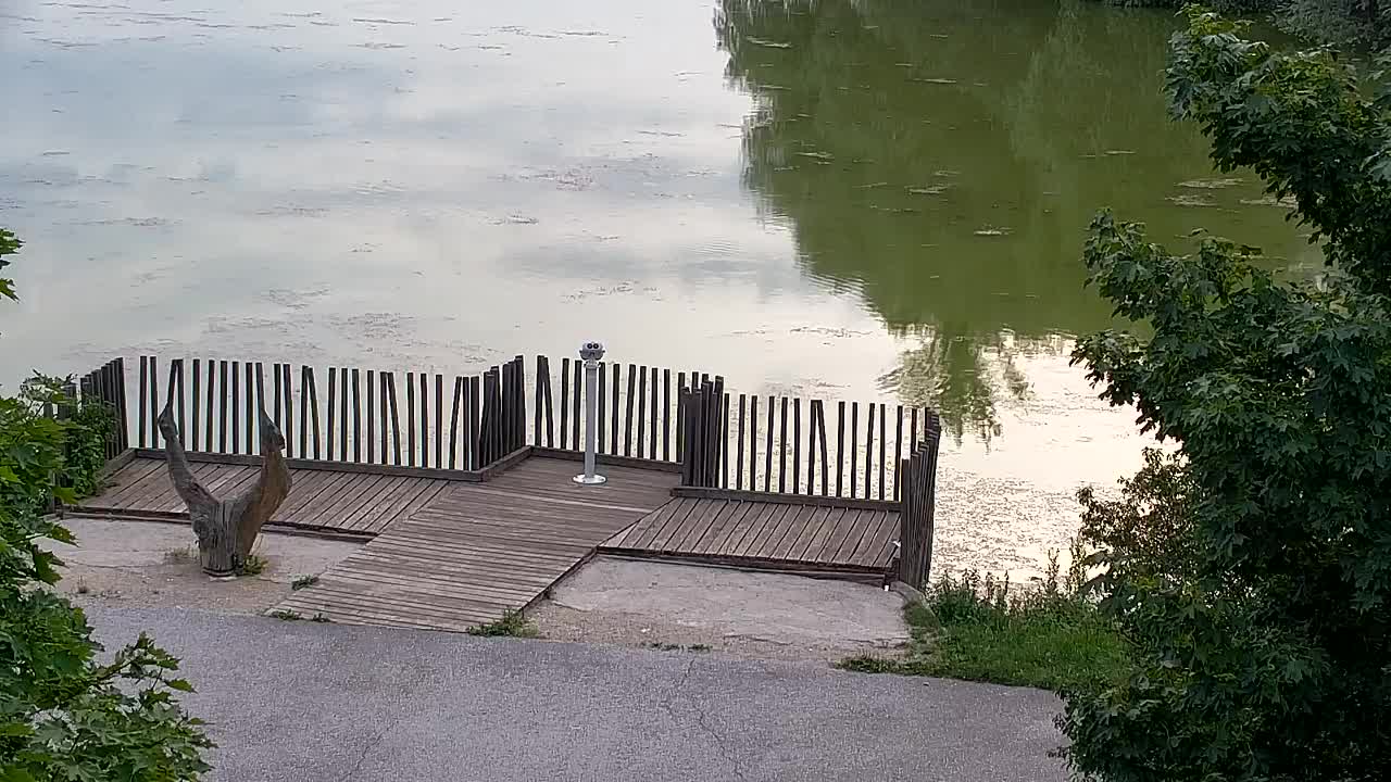 Webcam Ribnik Vrbje – Žalec