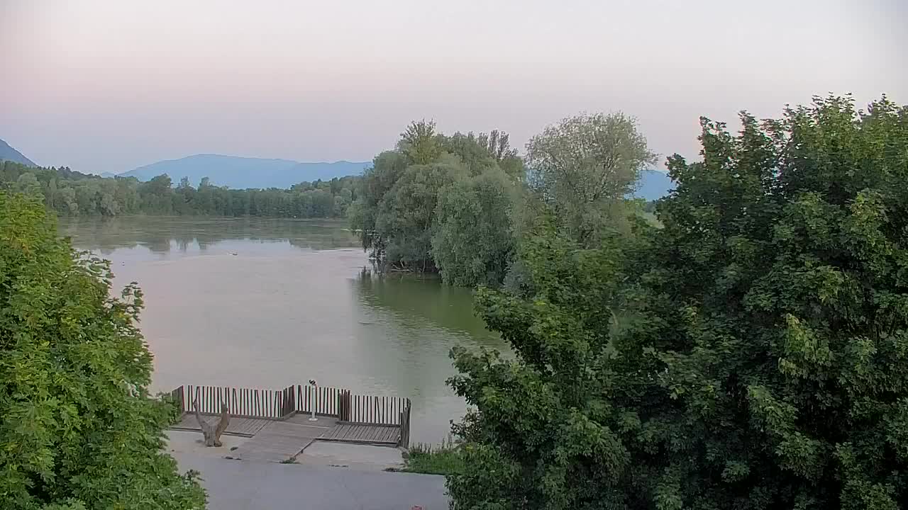 Spletna kamera Ribnik Vrbje – Žalec