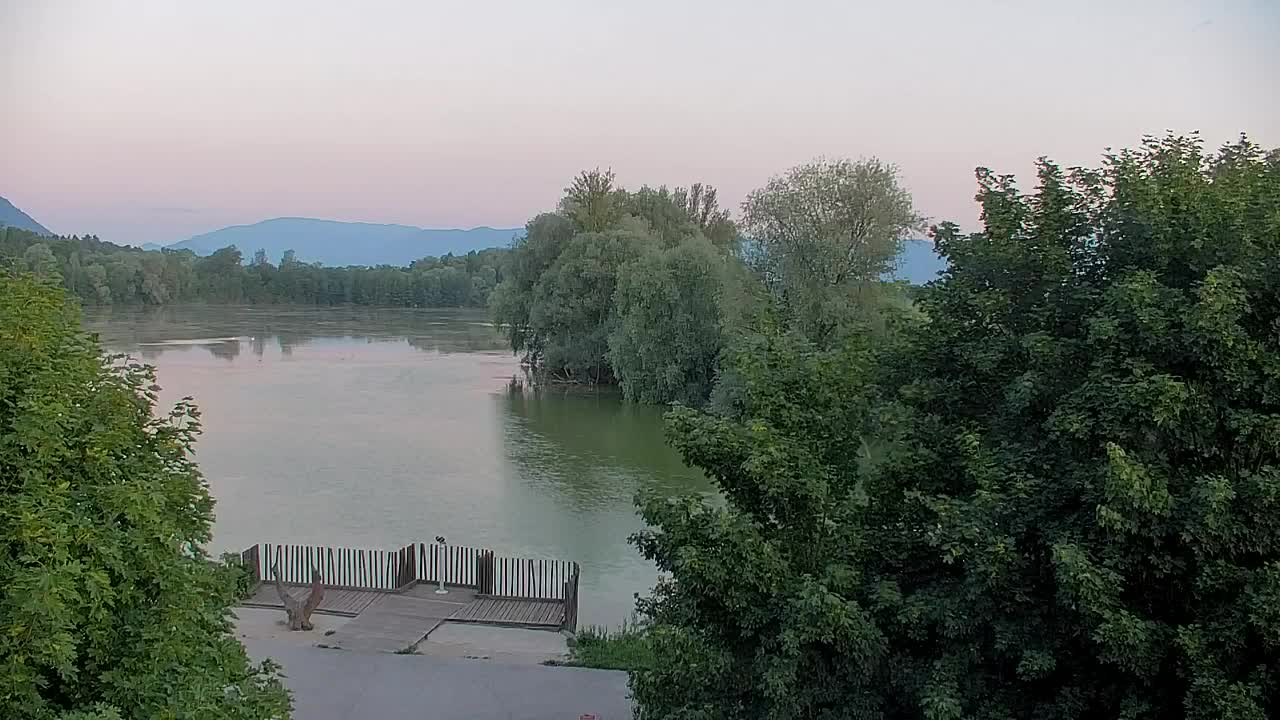 Webcam Ribnik Vrbje – Žalec