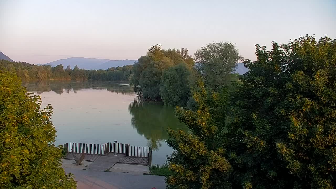 Spletna kamera Ribnik Vrbje – Žalec