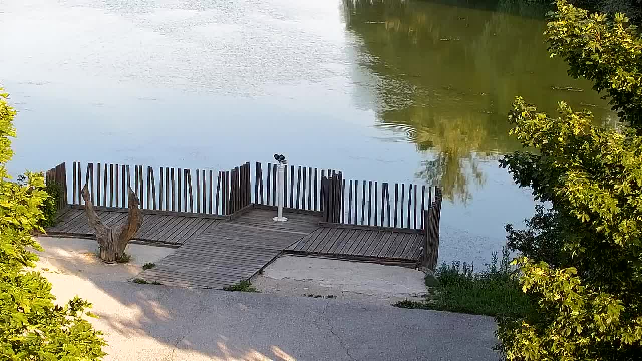 Spletna kamera Ribnik Vrbje – Žalec
