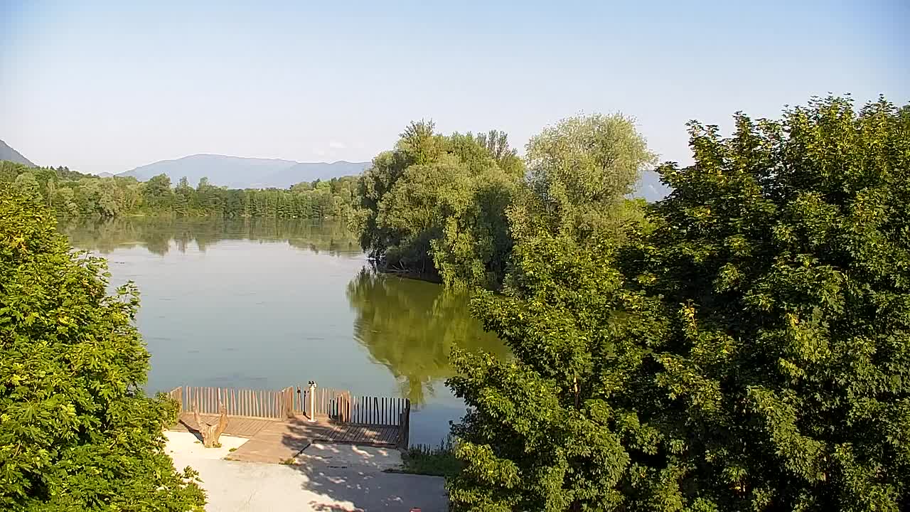 Web kamera Ribnik Vrbje – Žalec